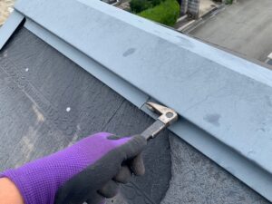 カラーベスト-差し替え